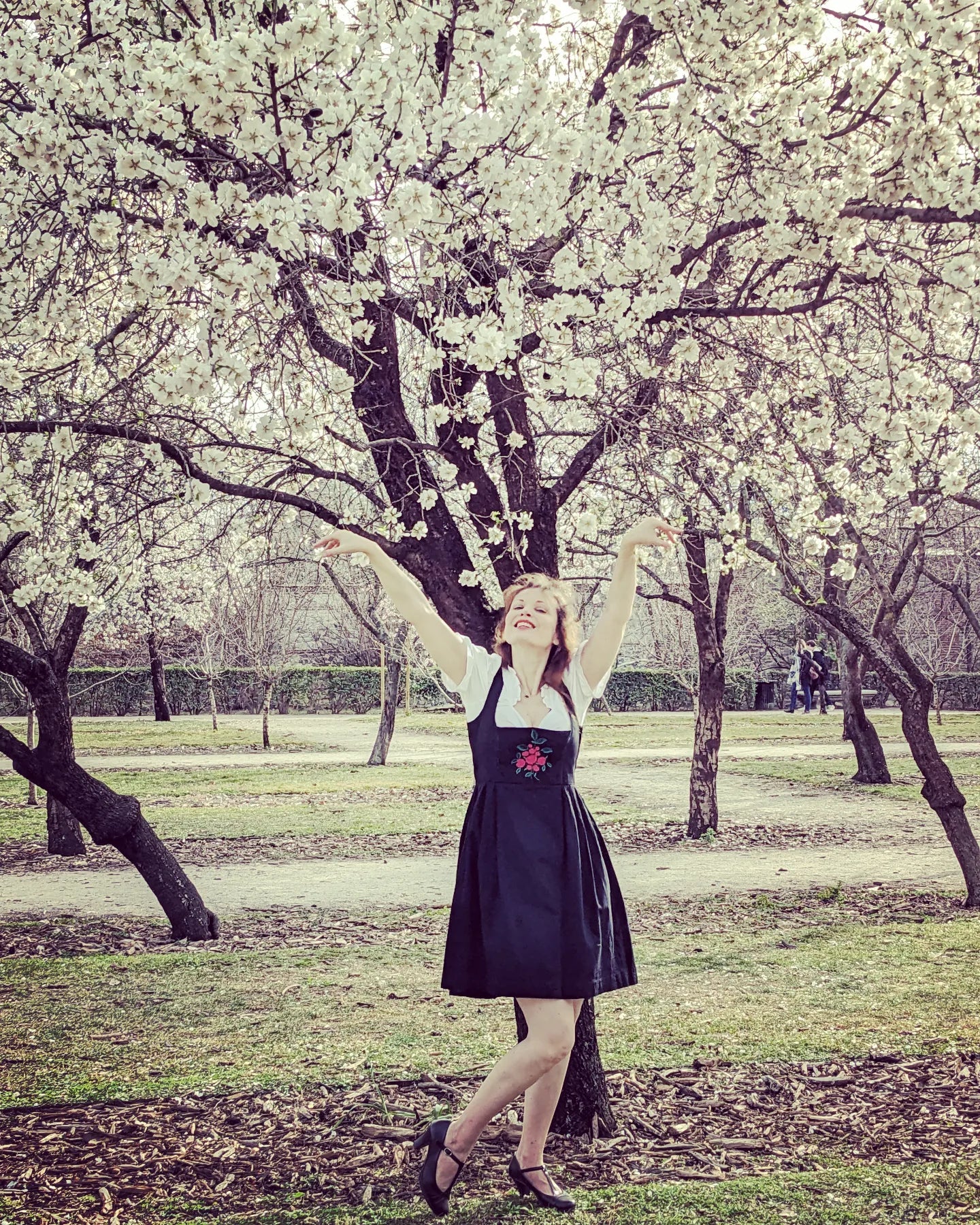 Vintage 1960s-70s black & red dirndl
