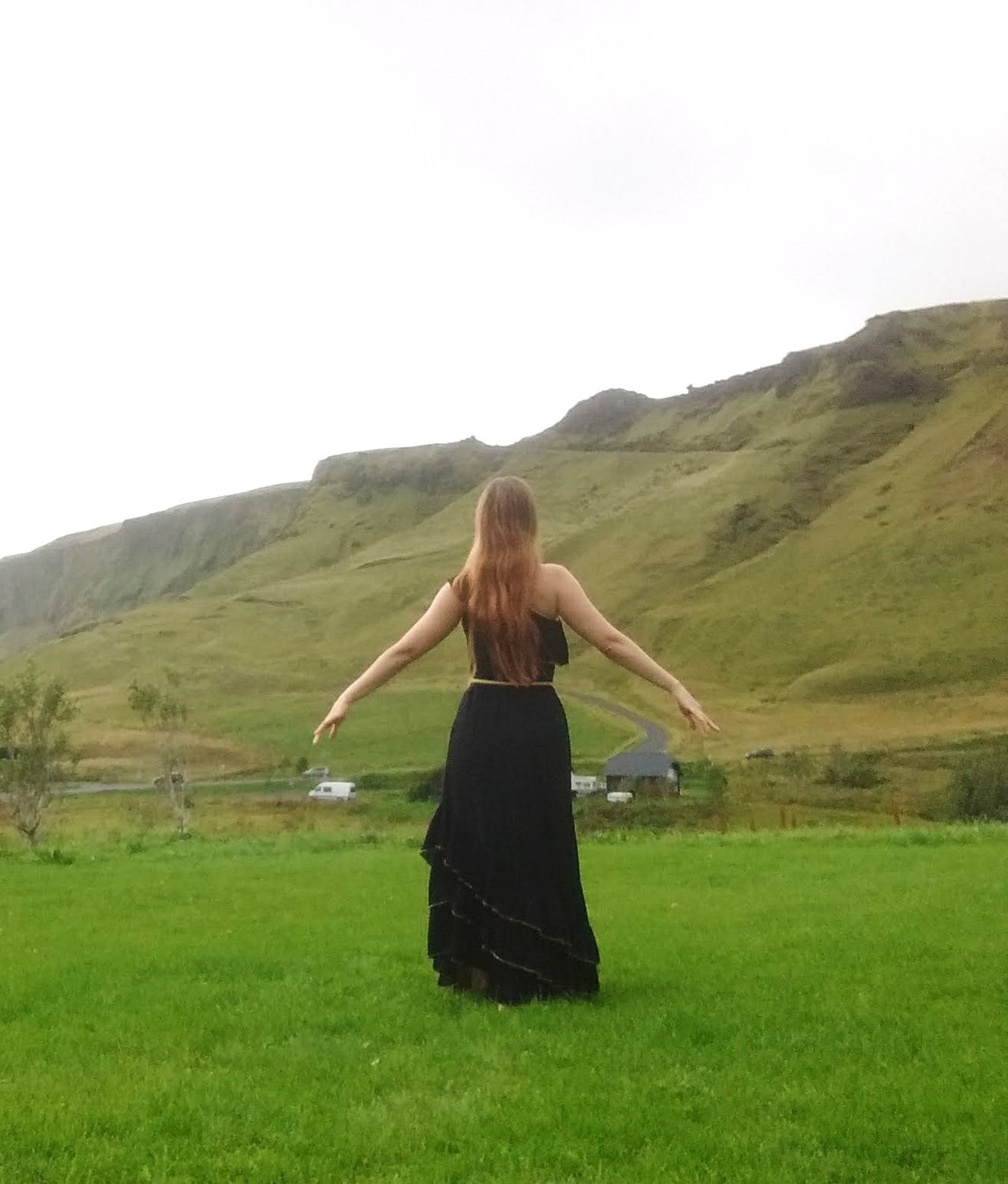 Vintage 1970s black & gold Grecian gown